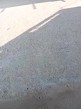 sexsexbo online show from 01/15/26, 07:57