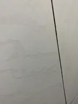 Snapshot of picatorta19 chatting on 12/17/25, 06:25 picatorta19 online show from 12/17/25, 06:25