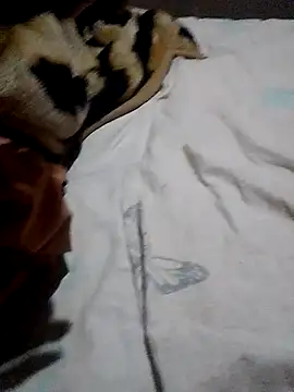 Snapshot of KGman91 chatting on 11/28/25, 09:50 KGman91 online show from 11/28/25, 09:50