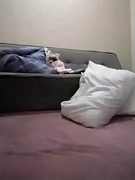 Luci foxx online show from 03/19/26, 01:42