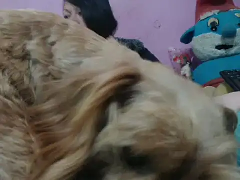 Cheliafun online show from 10/25/25, 02:13