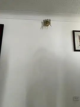 Snapshot of HannaSmiith chatting on 03/16/25, 01:27 HannaSmiith online show from 03/16/25, 01:27