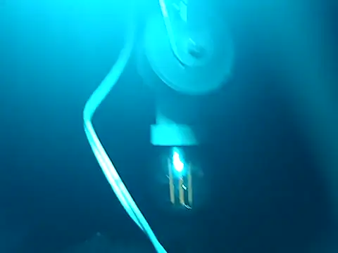 tus ordenes mis deseos online show from 04/25/26, 05:54