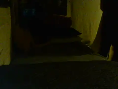 Gman143187 online show from 02/02/25, 09:08