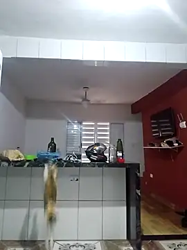 VibratedPoaching online show from 03/19/26, 01:59