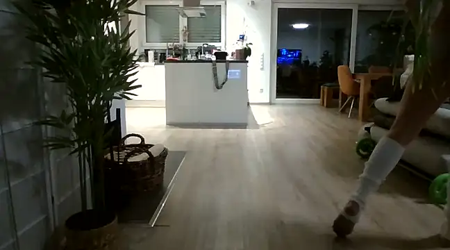 Snapshot of SportyspiceDanny chatting on 12/22/24, 06:37 SportyspiceDanny online show from 12/22/24, 06:37