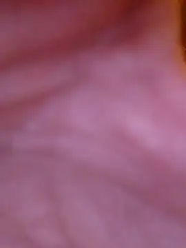 Snapshot of Freddyking146f chatting on 11/30/25, 01:42 Freddyking146f online show from 11/30/25, 01:42