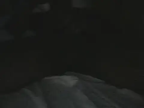 tumarditoperro online show from 12/30/24, 10:01