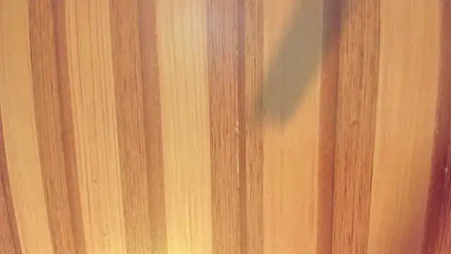 Taylor  cooper online show from 12/01/25, 06:24