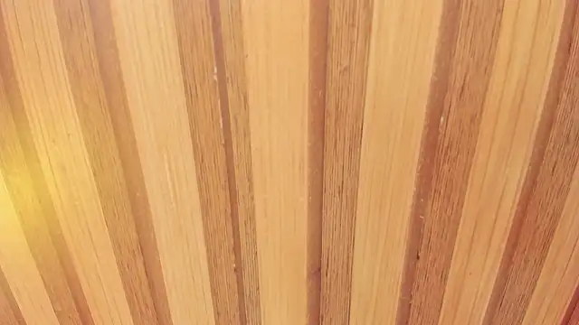 Taylor  cooper online show from 02/18/26, 06:37