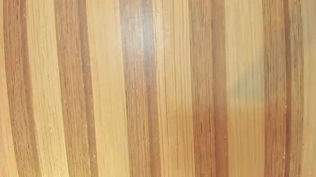 Taylor  cooper online show from 02/23/26, 06:38