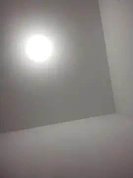 Snapshot of barboza991 chatting on 12/28/24, 11:48 barboza991 online show from 12/28/24, 11:48