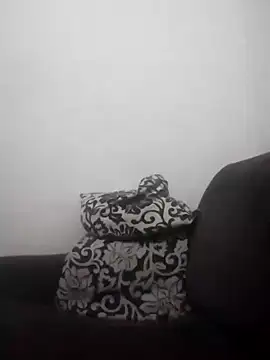 Snapshot of barboza991 chatting on 01/05/25, 01:13 barboza991 online show from 01/05/25, 01:13