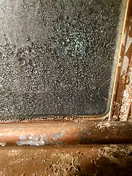 Snapshot of alienbunny chatting on 01/11/25, 05:52 alienbunny online show from 01/11/25, 05:52