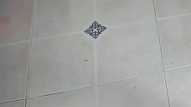 playsgirlhot online show from 02/03/26, 11:15