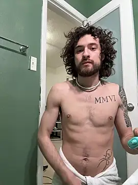 Snapshot of Vanillamexican chatting on 02/15/25, 11:50 Vanillamexican online show from 02/15/25, 11:50