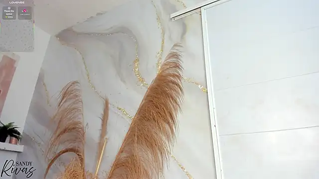 sandy rivas online show from 02/02/26, 02:49