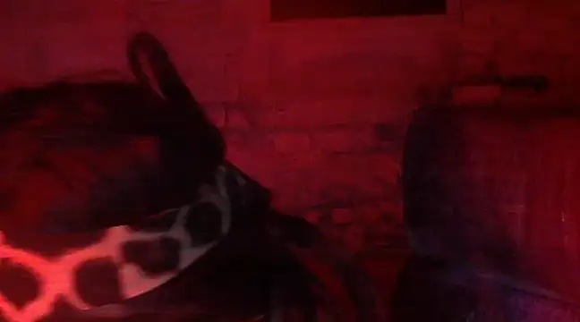 iva spirit online show from 02/09/25, 07:52