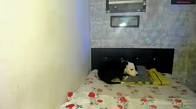 Snapshot of danna_sofiah chatting on 02/18/25, 03:32 danna sofiah online show from 02/18/25, 03:32