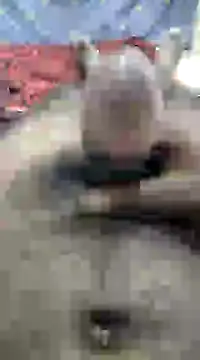 mallucallboy2104 online show from 12/10/24, 10:06