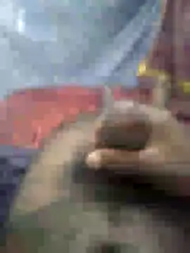 mallucallboy2104 online show from 01/15/25, 04:47