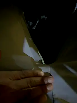 Snapshot of Gaonkadesilonda chatting on 10/08/25, 05:21 Gaonkadesilonda online show from 10/08/25, 05:21