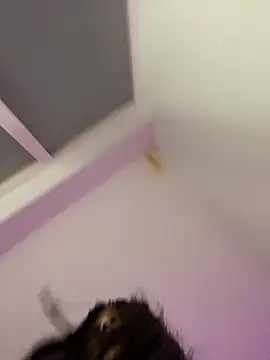 bonnie 18x online show from 02/26/25, 05:31