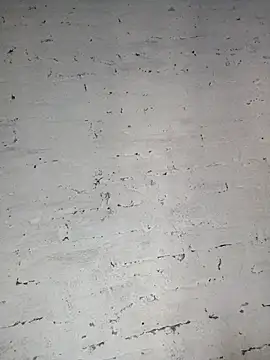 Y4NcA online show from 09/28/25, 10:37