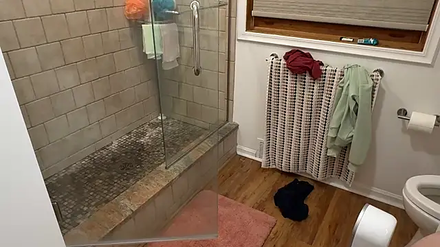 Snapshot of Dylansd chatting on 12/30/24, 10:01 Dylansd online show from 12/30/24, 10:01