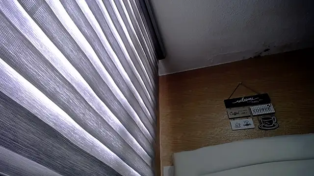 palmer mIix online show from 12/10/24, 02:17