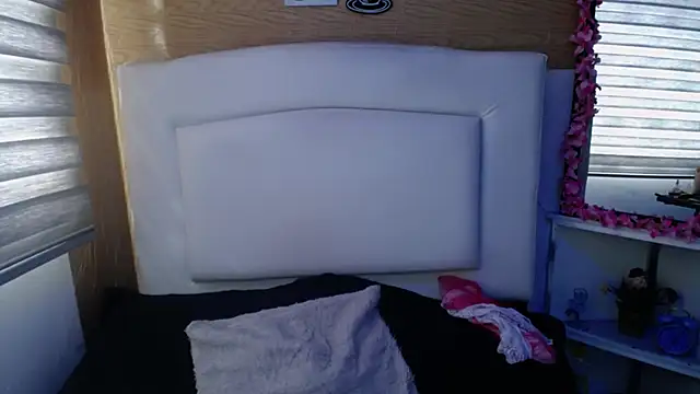 palmer mIix online show from 12/19/24, 08:23