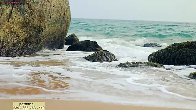  sex in paradise  online show from 01/20/25, 11:54