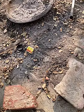 satrr xxx online show from 11/27/25, 04:58