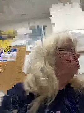 Snapshot of canadiancougar1965 chatting on 12/30/24, 06:49 canadiancougar1965 online show from 12/30/24, 06:49