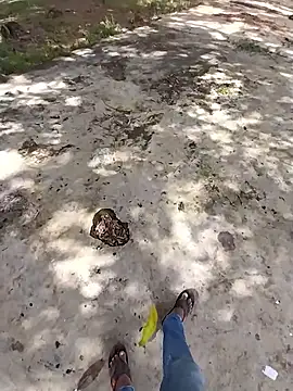 sudhastriper online show from 10/26/25, 07:58