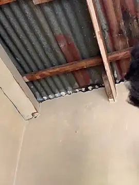 SEXY TOKYOxxx online show from 10/22/25, 06:24