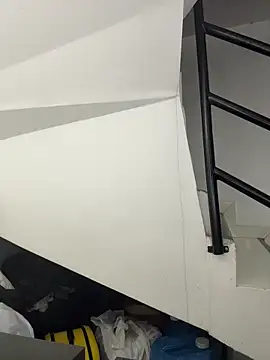 Annie9  online show from 11/29/25, 03:53