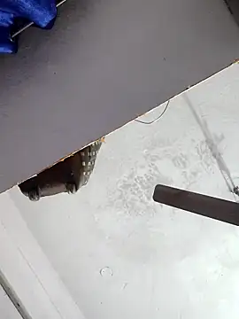 sana14 online show from 12/17/25, 10:49