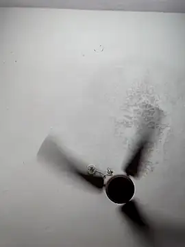 sana14 online show from 03/09/26, 06:23