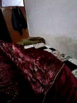 Snapshot of menakshiiikaur chatting on 12/13/24, 02:16 menakshiiikaur online show from 12/13/24, 02:16