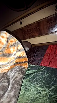 Snapshot of menakshiiikaur chatting on 03/11/25, 05:35 menakshiiikaur online show from 03/11/25, 05:35