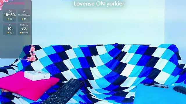 Yorkdirty online show from 09/15/25, 10:21