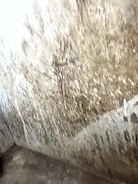 tamil000000 online show from 01/17/26, 10:31