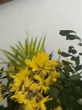 MireyaTorresGu online show from 03/04/26, 02:23