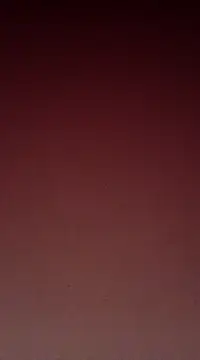 Sexy-Mona2 online show from 12/13/24, 12:06