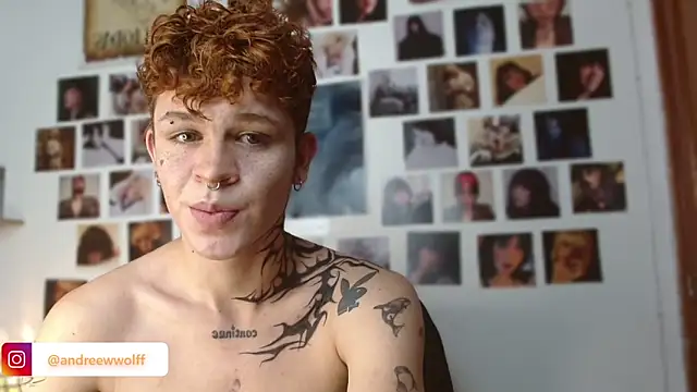 andrewWolffman online show from 12/15/24, 11:42