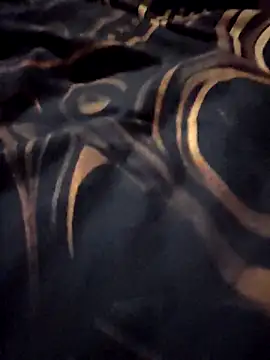 Snapshot of BOSKING1018 chatting on 11/30/25, 05:55 BOSKING1018 online show from 11/30/25, 05:55