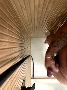 Snapshot of Gustavozx01 chatting on 11/11/25, 03:17 Gustavozx01 online show from 11/11/25, 03:17