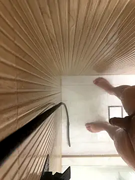 Snapshot of Gustavozx01 chatting on 12/20/25, 05:36 Gustavozx01 online show from 12/20/25, 05:36