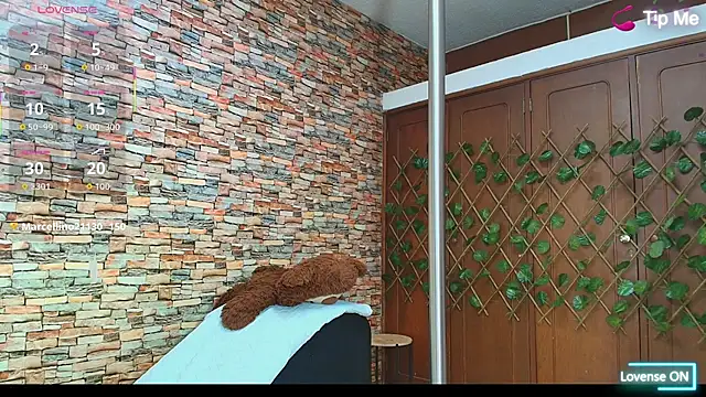 Snapshot of couple_lovelyds chatting on 12/02/25, 09:21 couple lovelyds online show from 12/02/25, 09:21